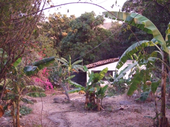 images/2011_mx_30.JPG MX30