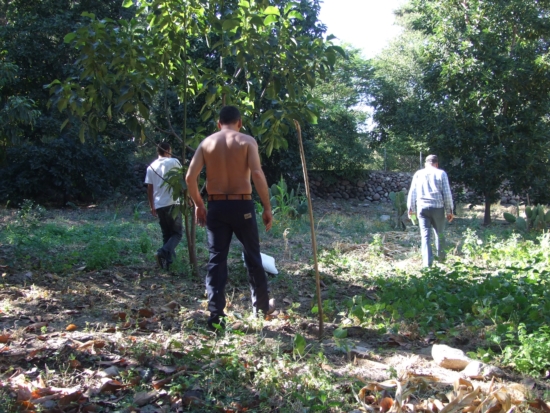 images/2011_mx_31.JPG MX31