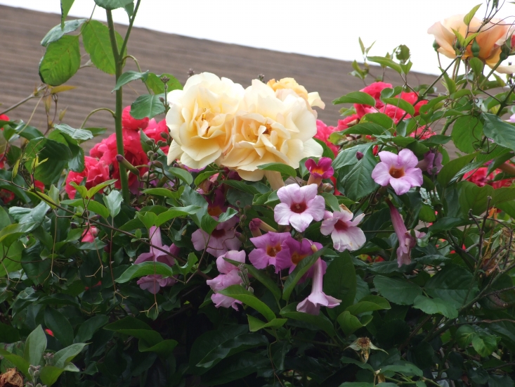 May_5